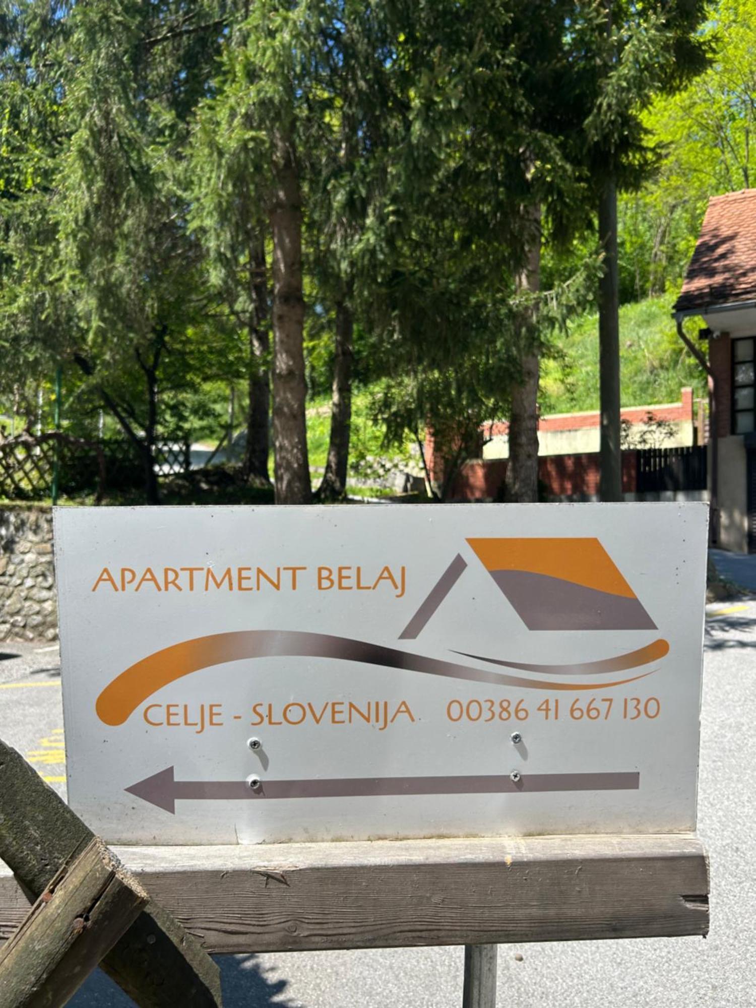 Apartment Belaj Celje Dış mekan fotoğraf